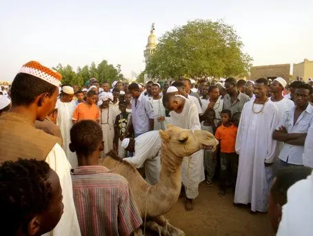 Camel Sacrifice in Sudan
