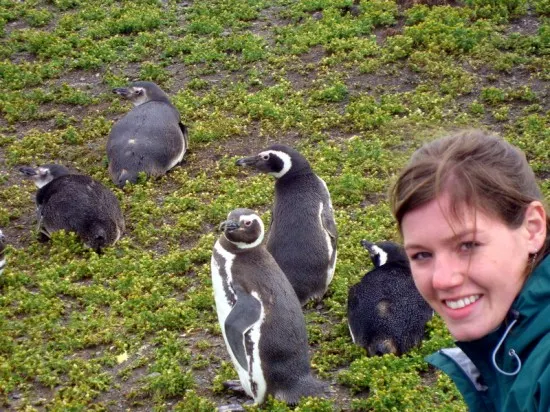 Tierra del Fuego, Patagonia: at a penguin nesting site.