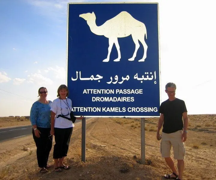 Traveling U.S. Teachers, and a camel crossing in Tunisia!