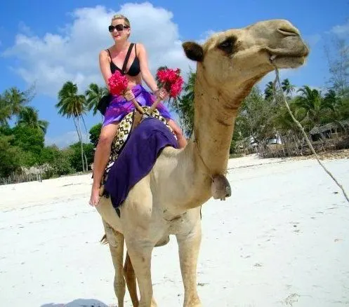 Lisa, seeing what all the camel-riding fuss is about in Mombasa. She reports: 
