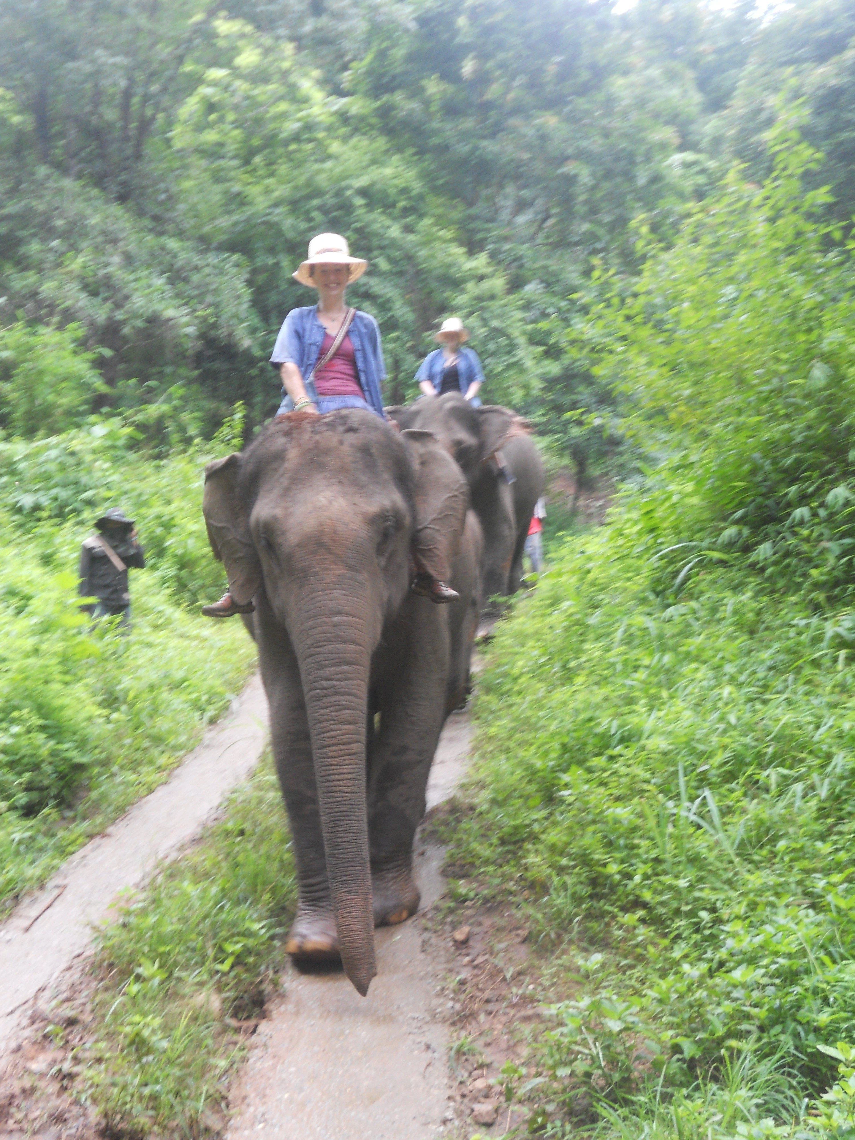 Volunteering with elephants in Thailand.