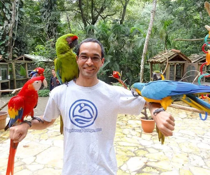 Macaw Mountain Bird Park in Honduras.