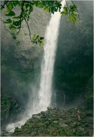 A beautiful waterfall Maureen photographed in Ecuador.