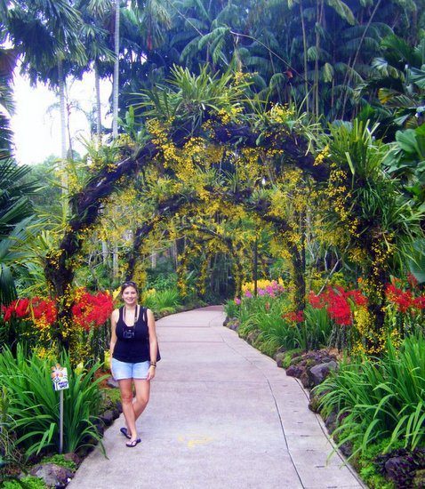 Singapore's Botanical Garden.