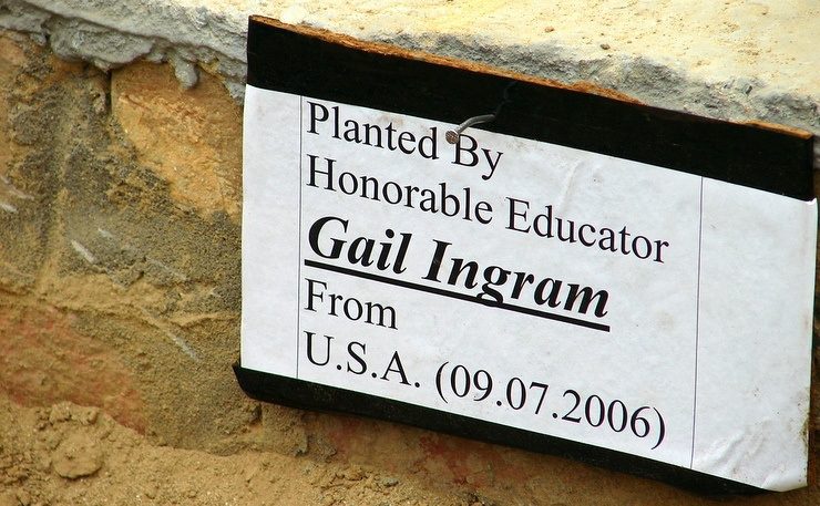 Gail's "tree sign" on the tree she planted in India during her group travels.