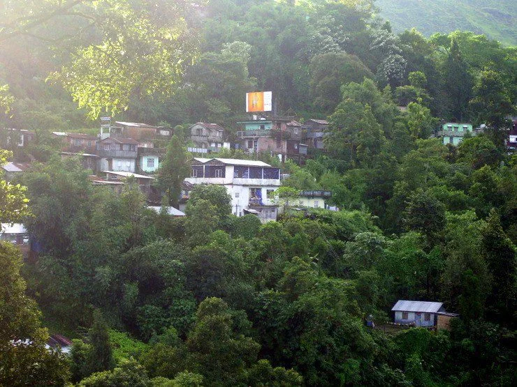 The school in India (the blue and white building tucked away in the trees) where Abigail volunteered. 