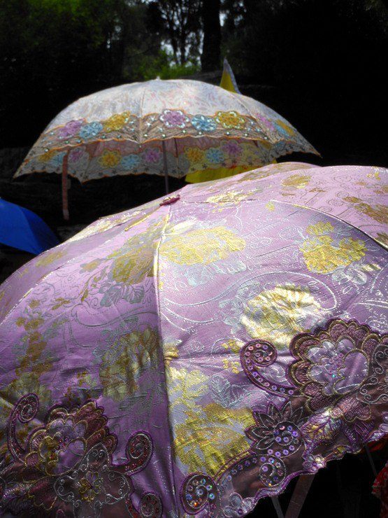 Pretty parasols spotted during travel.