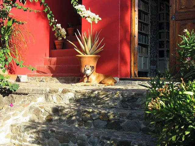 Bonnie's beautiful rental house in Oaxaca, Mexico.