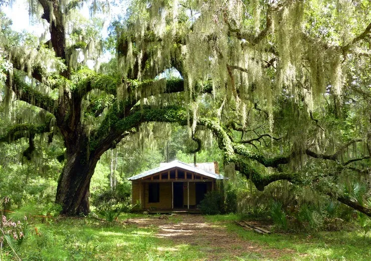 A traditional style house in Savannah, Georgia. 