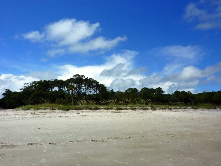 Stretch of beach along one of the Lowcountry's barrier islands.