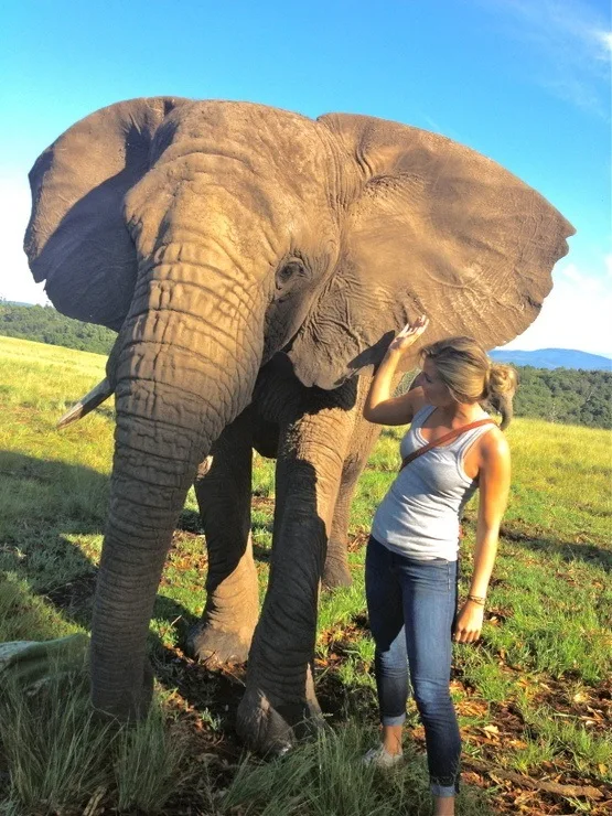 Spending time at the Elephant Sanctuary in Knysna.
