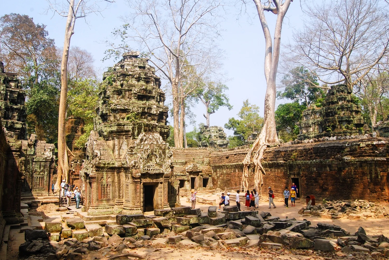 Ta Prohm, Cambodia: one of the many places Beth has toured.