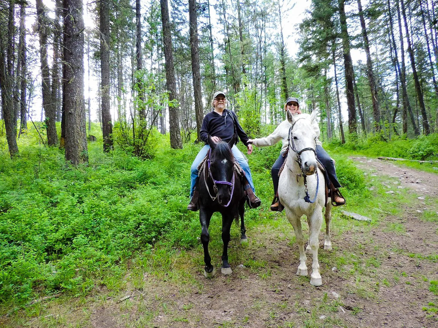 A horseback ride through the woods in Montana.