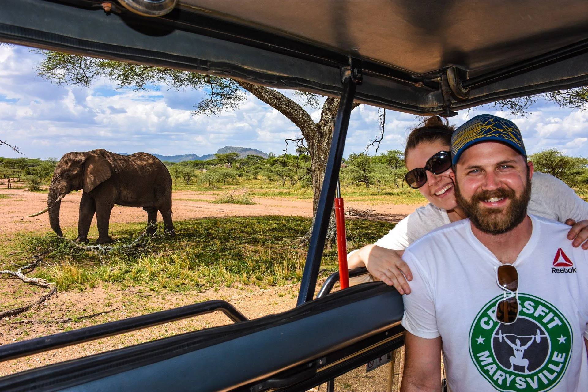 On a thrilling African Safari.