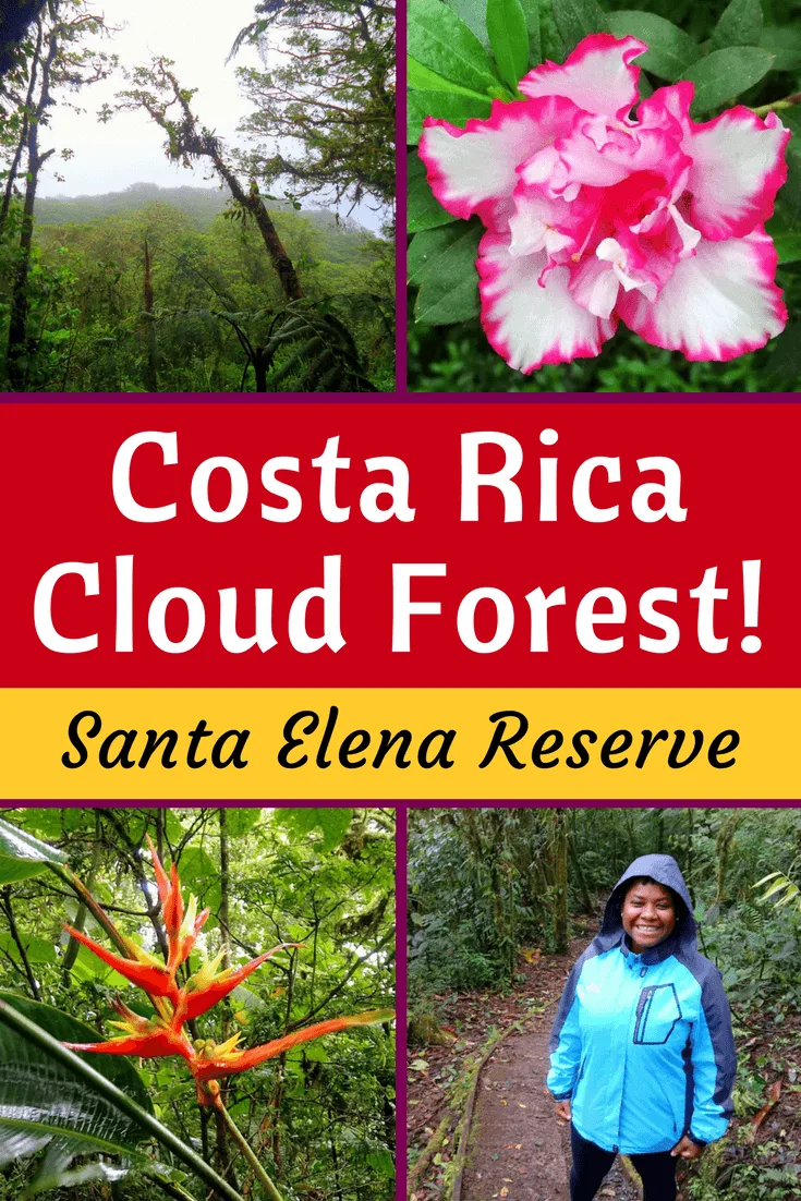 Why the Santa Elena Cloud Forest Reserve near Monteverde, Costa Rica is Educational and Ecotourism Travel Gold.