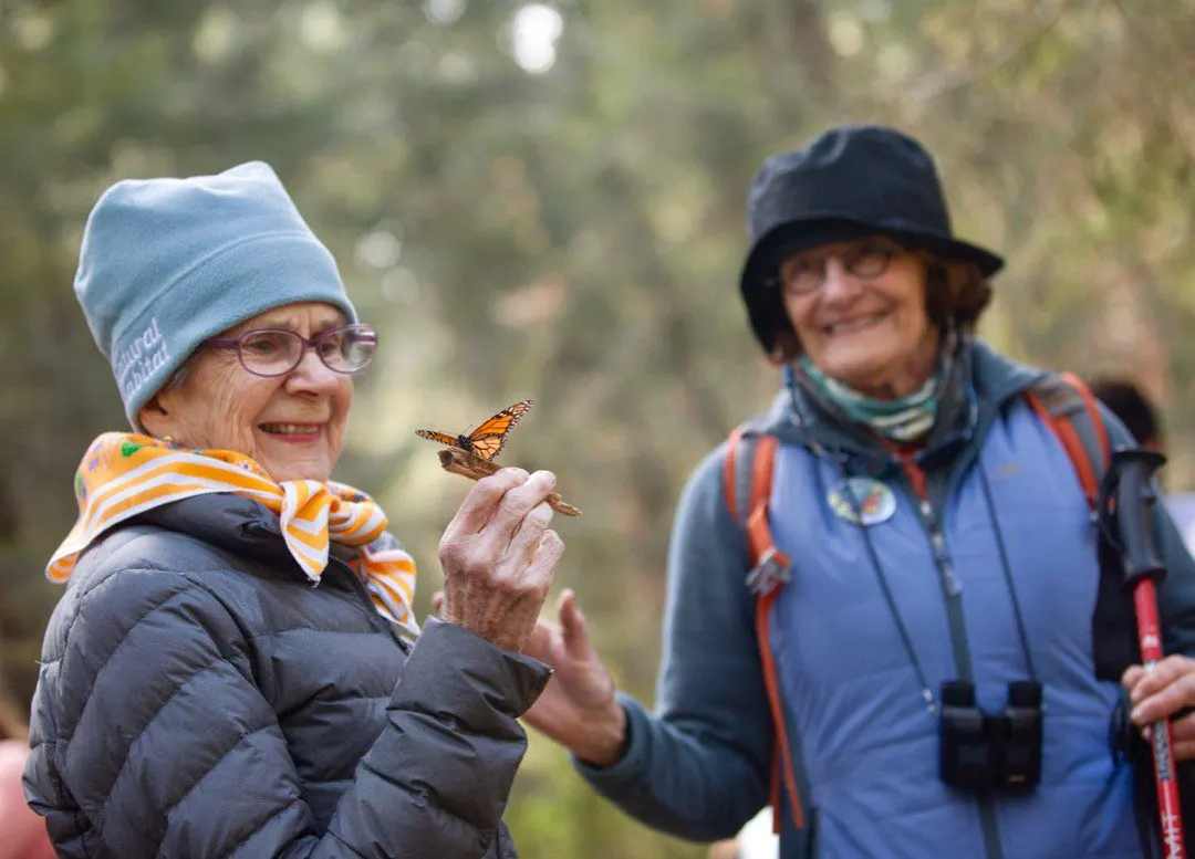 Cavorting with monarch butterflies!