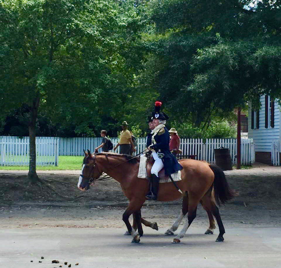A horse at Colonial Williamsburg, VA.