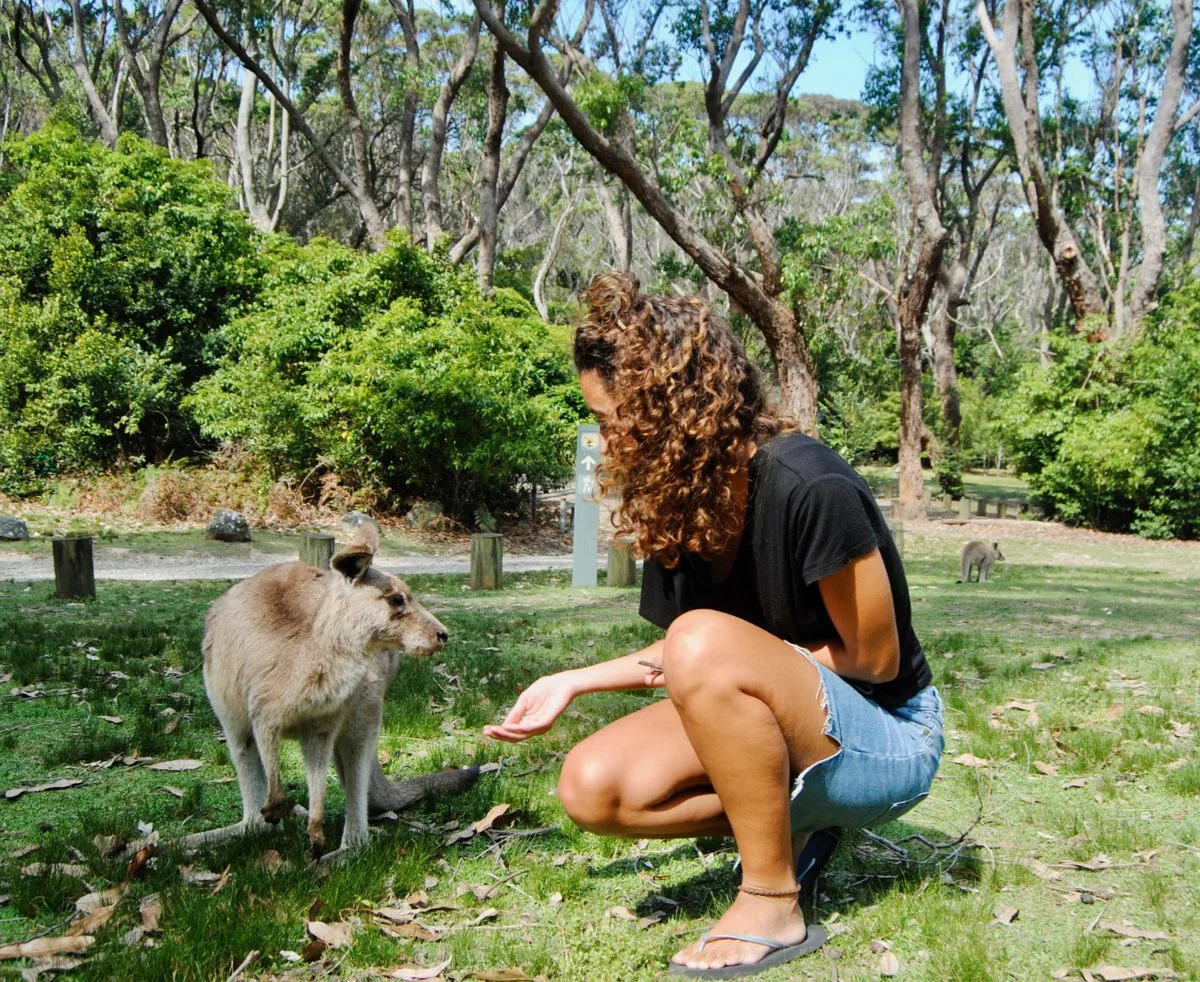 Playing with kangaroos by the beach.