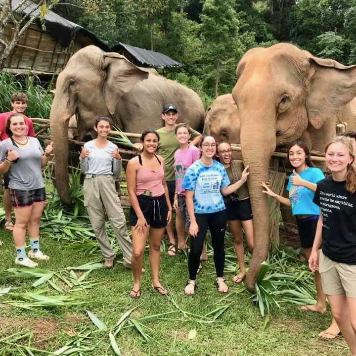Helping elephants in Thailand.