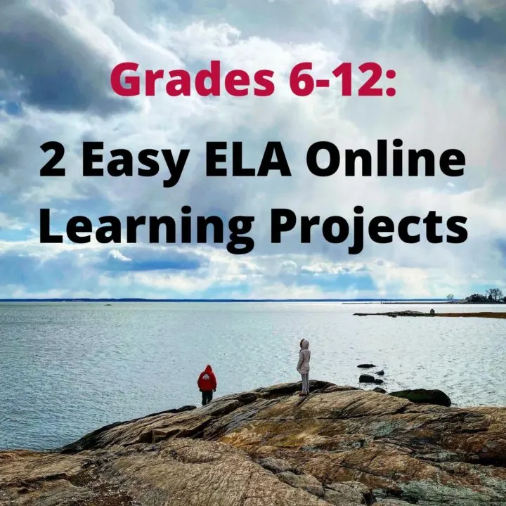 2 Online Distance Learning Projects and Assignments for grade 6-12 ELA