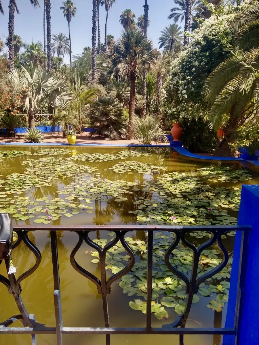 Part of the Jardin Majorelle, a pretty garden that Yves St. Laurent purchased and renovated to keep it from being developed.