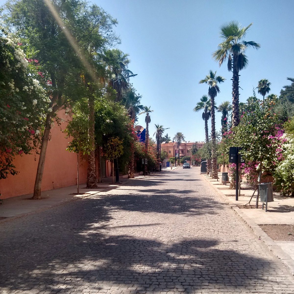 A pretty street in Marrakech, on which is both the Jardin Majorelle and the Yves St. Laurent Museum, formerly his home.