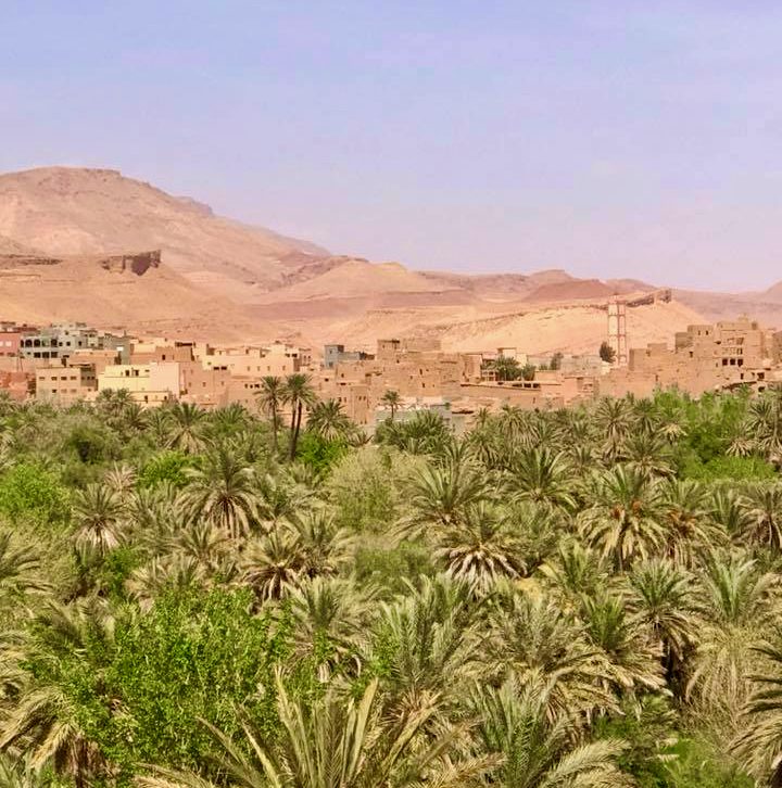 Nature in Morocco. 